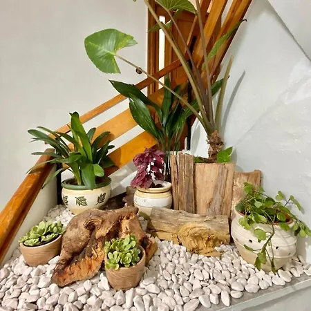 A Michelena De Pedra Apartmán Pontevedra